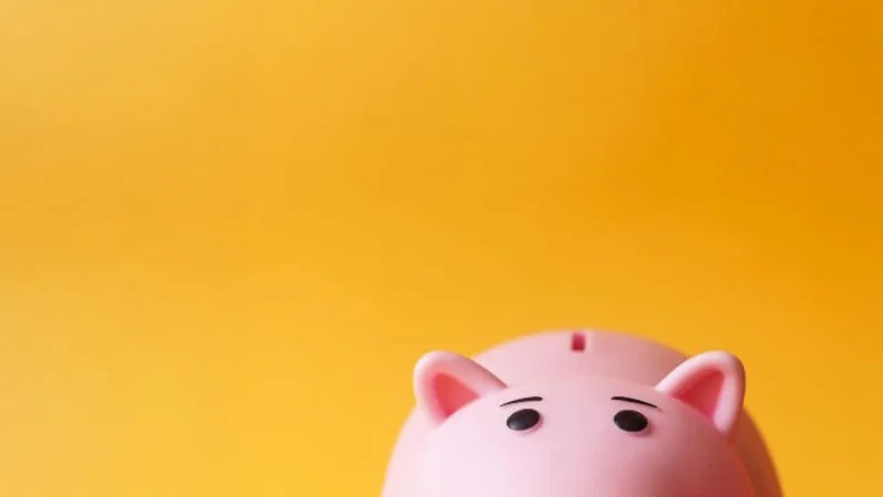 A half yellow pig on a pink background, representing how heirs access probate property funds quickly. Contact Kid Breukelen Realty Group for expert assistance.