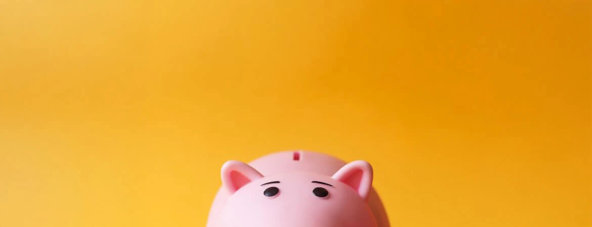 A half yellow pig on a pink background, symbolizing the fast access heirs have to probate property funds. Reach out to Kid Breukelen Realty Group for professional help in navigating probate property.